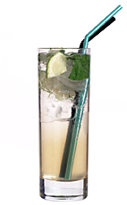Kyoto - The Kyoto drink is made from gin, fresh lime juice, Monin peach syrup, sugar syrup and mint leaves, and served in a highball glass.