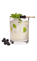 Acai Mojito - The Acai Mojito drink is made from VeeV acai spirit, lime, agave nectar, mint and club soda, and served in an old-fashioned glass.