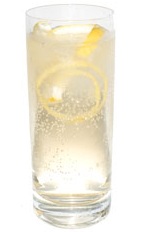 Apricot Twist - The Apricot Twist drink is made from gin, apricot brandy, fresh lemon and club soda.