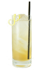 Apricot Fizz - The Apricot Fizz is made from Apricot Brandy, fresh lemon juice, sugar syrup and club soda, and served in a chilled highball glass.