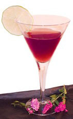 Biscayne Bay Cocktail - The Biscayne Bay Cocktail is made from Gin, Light Rum, Crème de Cassis and fresh lime juice, and served in a chilled cocktail glass.