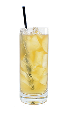 Brandy Fizz - The Brandy Fizz drink is made from Brandy, sugar, fresh lemon juice and club soda, and served in a chilled highball glass.