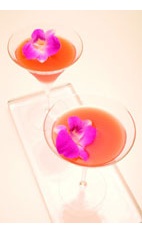 Brazilian Orchid - The Brazilian Orchid cocktail is made from Leblon Cachaca, lychee puree and raspberry liqueur, and served in a chilled cocktail glass.