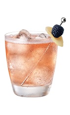 French Ginger Ale - The French Ginger Ale drink is made from Chambord flavored vodka and ginger ale, and served in an old-fashioned glass.