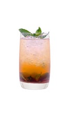 Grand Julep - The Grand Julep drink is a variation on the classic Kentucky Derby cocktail, the Mint Julep. It is made from Grand Marnier, Angostura bitters and mint leaves, and served in a highball glass.