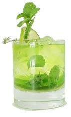 Midori Melon Mojito - The Midori Melon Mojito is made from Midori, light rum, mint leaves, lime and club soda, and served in an old-fashioned glass.