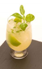 Modern Mojito - The Modern Mojito drink is made from cachaca, lemon-lime soda, simple syrup, basil and lime, and served in an old-fashioned glass.