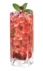 Mojito PAMA - The Mojito PAMA drink is made from PAMA Pomegranate Liqueur, whtie rum, lime juice, club soda, simple syrup and mint, and served in a highball glass.