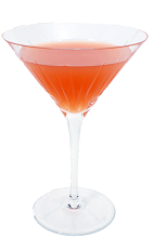 Paradise Cocktail - The Paradise Cocktail is made from Apricot Brandy, Gin, grenadine and fresh orange juice, and served in a chilled cocktail glass.