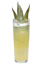 Pineapple Fizz - The Pineapple Fizz drink is made from rum, pineapple juice, simple syrup and club soda, and served in a chilled collins glass.