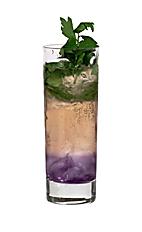 Absolut Prosperity - The Absolut Prosperity drink is made from vodka, Parfait Amour, Lychee Liqueur, lime cordial, mint leaves and Schweppes Russian, and served in a highball glass.