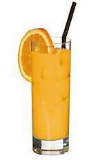 Grand Marnier Orange - The Grand Marnier Orange drink is made from Grand Marnier Rouge and orange juice, and served in a highball glass.