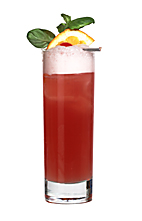 Levau Special - The Levau Special drink is made from orange vodka (aka Absolut Mandrin), Passoa, pineapple juice and cranberry juice, and served in a highball glass.