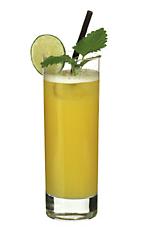Mellow Yellow Bird - The Mellow Yellow Bird drink is made from rum, Galliano, Cointreau, pineapple juice, orange juice and lime juice, and served in a highball glass.