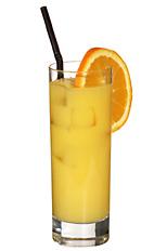 Screwdriver - The Orange Screwdriver drink is a simple and standard drink that every bartender should know how to make. It is made from vodka and orange juice, and served in a highball glass.