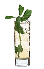Vanilla Coin - The Vanilla Coin drink is made from vanilla vodka, Cointreau and ginger ale, and served in a highball glass.