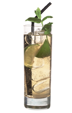 Vanilla Mole - The Vanilla Mole drink is made from vanilla vodka, lemon juice, ginger ale and lime wedges, and served in a highball glass.