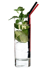 Vanilla Rain - The Vanilla Rain drink is made from vanilla vodka, lemon-lime soda and a lime, and served in a highball glass.