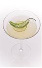 The Cucumber Jalapeno cocktail is made from cachaca, agave nectar, cucumber, lime and jalapeno, and served in a cocktail glass.