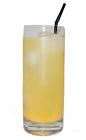 The Poolside Pleasure drink is made from gin, orange juice and club soda, and served in a highball glass.