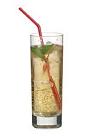 The Diaz drink is made from vanilla vodka, apple juice, ginger ale and lime wedges, and served in a highball glass.