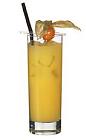 The Parrot drink is made from Pernod and orange juice, and served in a highball glass.