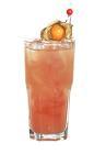 The Summer Breeze drink is made from lime vodka, Passoa and passion fruit juice, and served in a highball glass.
