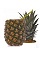 Leblon Cachaca, Pineapple