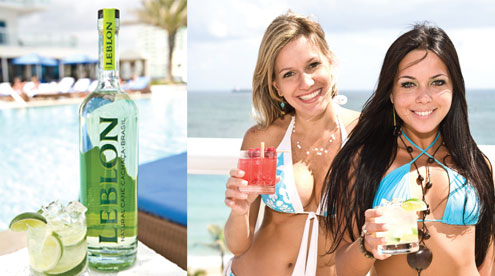 Perfect mixed drink and cocktail recipes with pictures made with Cachaça